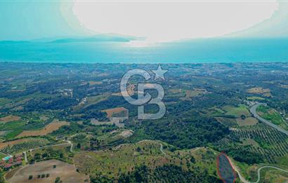 Kuşadası Soğucak’ta 6.617,23m² Satılık Konut İmarlı Arsa!