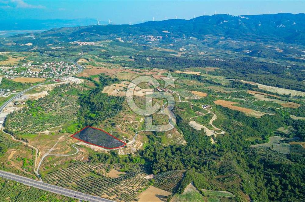 Kuşadası Soğucak’ta 6.617,23m² Satılık Konut İmarlı Arsa!