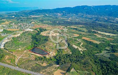 Kuşadası Soğucak’ta 6.617,23m² Satılık Konut İmarlı Arsa!