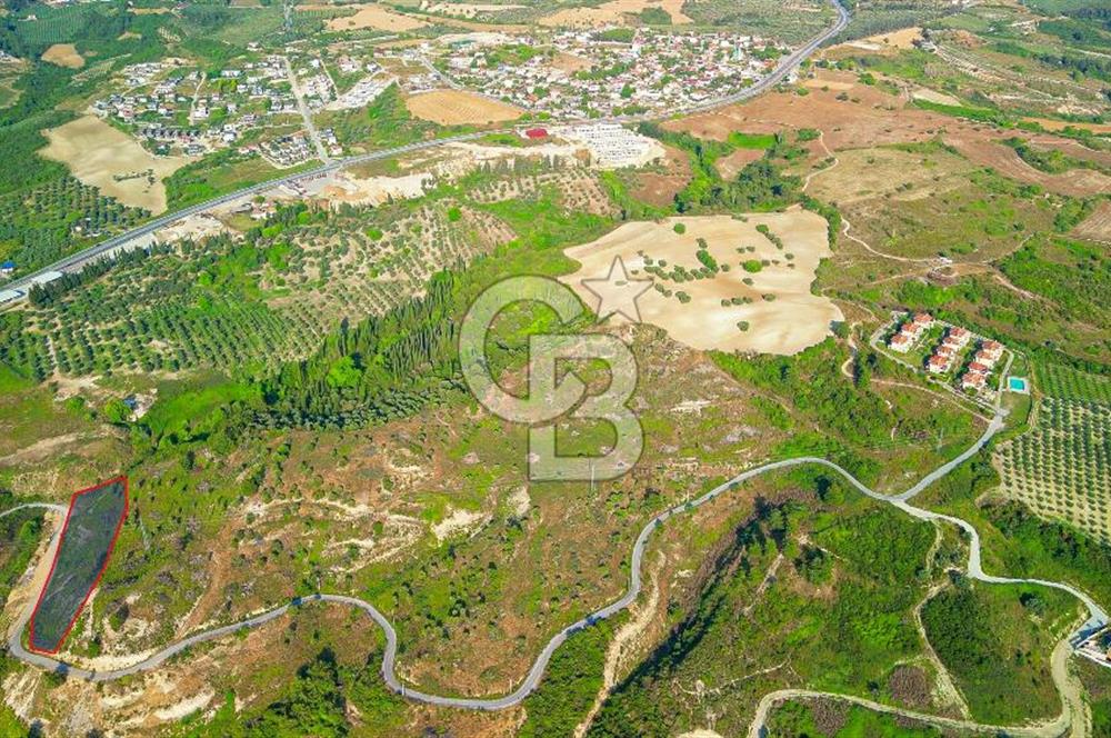 Kuşadası Soğucak’ta 6.617,23m² Satılık Konut İmarlı Arsa!
