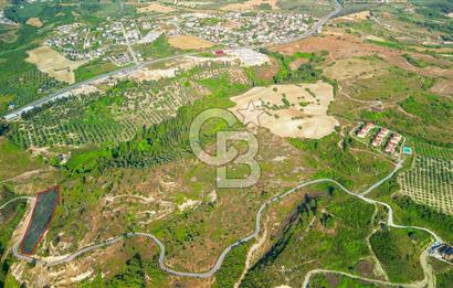 Kuşadası Soğucak’ta 6.617,23m² Satılık Konut İmarlı Arsa!