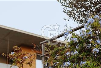 TEOK'tan Ardıç'ta Denize 100 Metre Sıfır 3+1 Villa