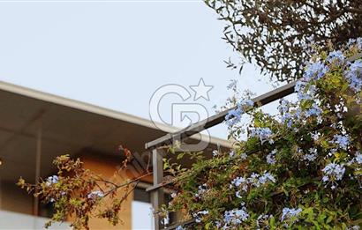 TEOK'tan Ardıç'ta Denize 100 Metre Sıfır 3+1 Villa