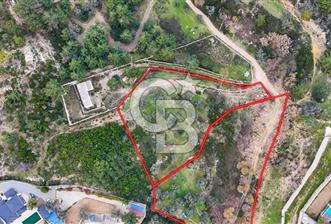 TEOK'tan Urla Kekliktepe'de Satılık 8718 m2 Tarla