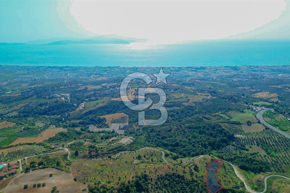 Kuşadası Soğucak’ta 9.694,35m² Satılık Konut İmarlı Arsa!