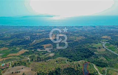 Kuşadası Soğucak’ta 9.694,35m² Satılık Konut İmarlı Arsa!