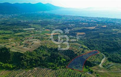 Kuşadası Soğucak’ta 9.694,35m² Satılık Konut İmarlı Arsa!