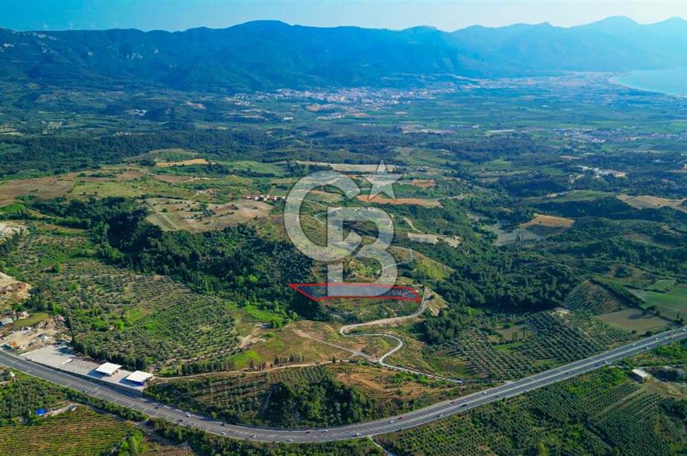 Kuşadası Soğucak’ta 9.694,35m² Satılık Konut İmarlı Arsa!