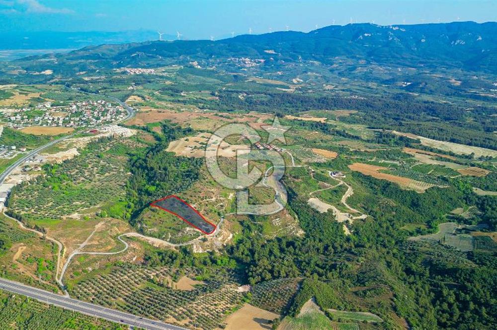 Kuşadası Soğucak’ta 9.694,35m² Satılık Konut İmarlı Arsa!