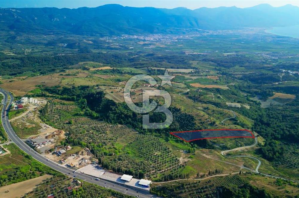 Kuşadası Soğucak’ta 9.694,35m² Satılık Konut İmarlı Arsa!