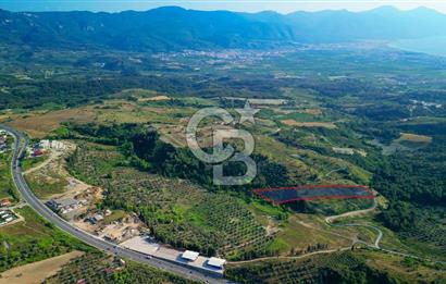 Kuşadası Soğucak’ta 9.694,35m² Satılık Konut İmarlı Arsa!