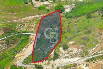 Kuşadası Soğucak’ta 6.617,23m² Satılık Konut İmarlı Arsa!