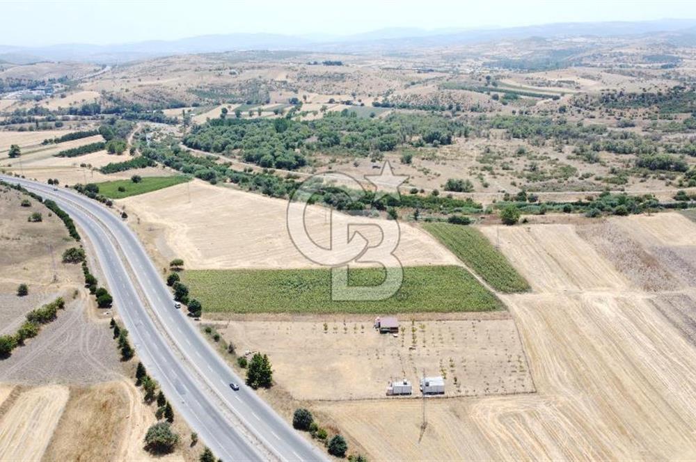 CB KiNG'DEN KESİRVEN MAHALLESİNDE 6289 M2 SATILIK TARLA