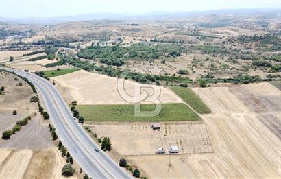CB KiNG'DEN KESİRVEN MAHALLESİNDE 6289 M2 SATILIK TARLA