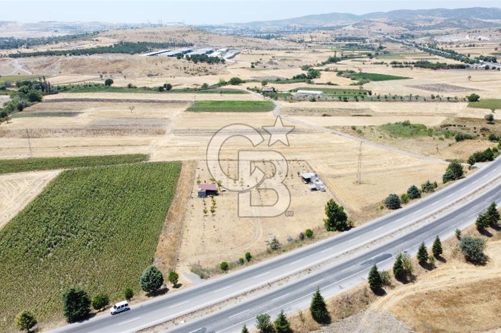 CB KiNG'DEN KESİRVEN MAHALLESİNDE 6289 M2 SATILIK TARLA