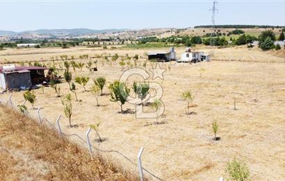 CB KiNG'DEN KESİRVEN MAHALLESİNDE 6289 M2 SATILIK TARLA