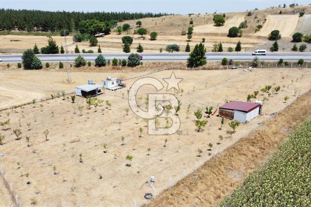 CB KiNG'DEN KESİRVEN MAHALLESİNDE 6289 M2 SATILIK TARLA