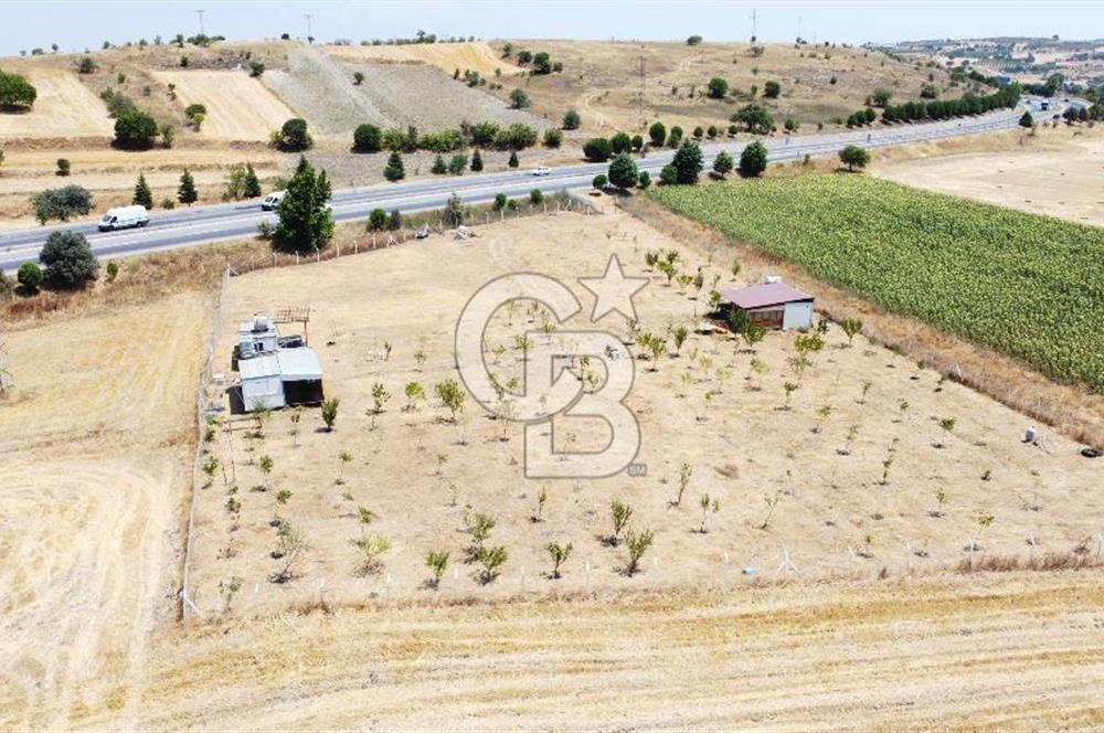 CB KiNG'DEN KESİRVEN MAHALLESİNDE 6289 M2 SATILIK TARLA