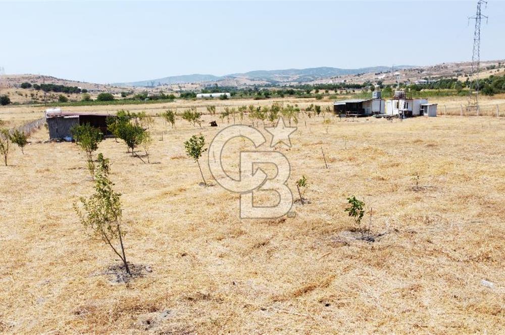 CB KiNG'DEN KESİRVEN MAHALLESİNDE 6289 M2 SATILIK TARLA