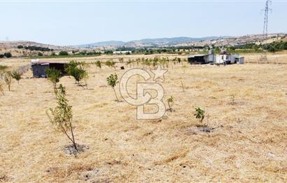 CB KiNG'DEN KESİRVEN MAHALLESİNDE 6289 M2 SATILIK TARLA