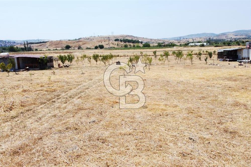 CB KiNG'DEN KESİRVEN MAHALLESİNDE 6289 M2 SATILIK TARLA