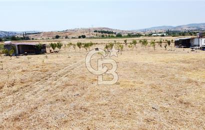CB KiNG'DEN KESİRVEN MAHALLESİNDE 6289 M2 SATILIK TARLA