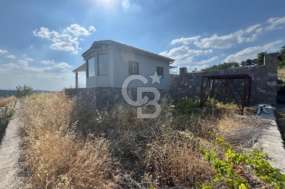 MUSELAND - YAKAKÖY’DE İÇİNDE ÇELİK EV BULUNAN TAPULU BAĞ