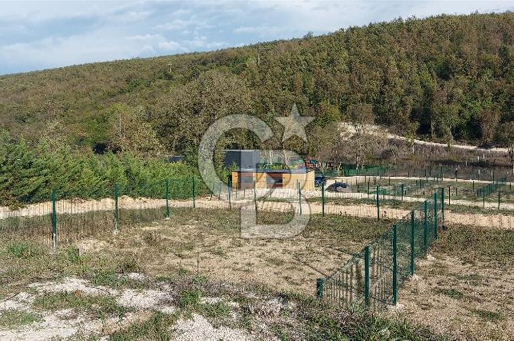 ÇATALCA Binkılıç'ta SATILIK Tiny House Parseli