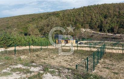 ÇATALCA Binkılıç'ta SATILIK Tiny House Parseli