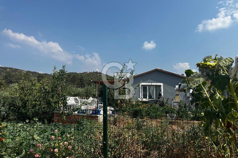 Kemalpaşa Sinancılar’da Müstakil Evli Huzur Bahçesi!