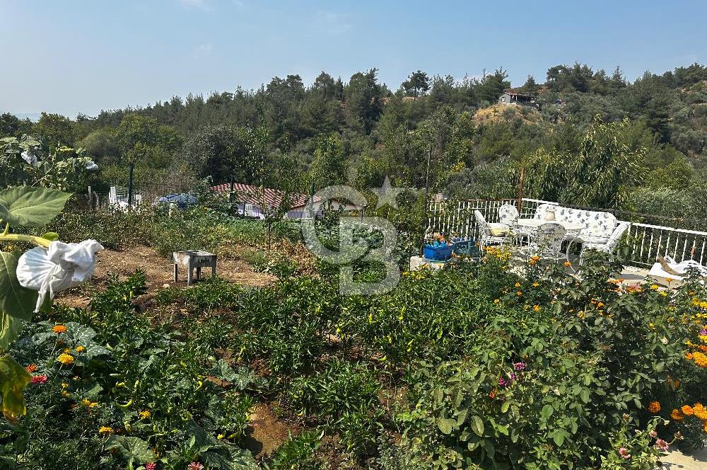 Kemalpaşa Sinancılar’da Müstakil Evli Huzur Bahçesi!