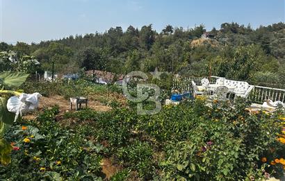 Kemalpaşa Sinancılar’da Müstakil Evli Huzur Bahçesi!