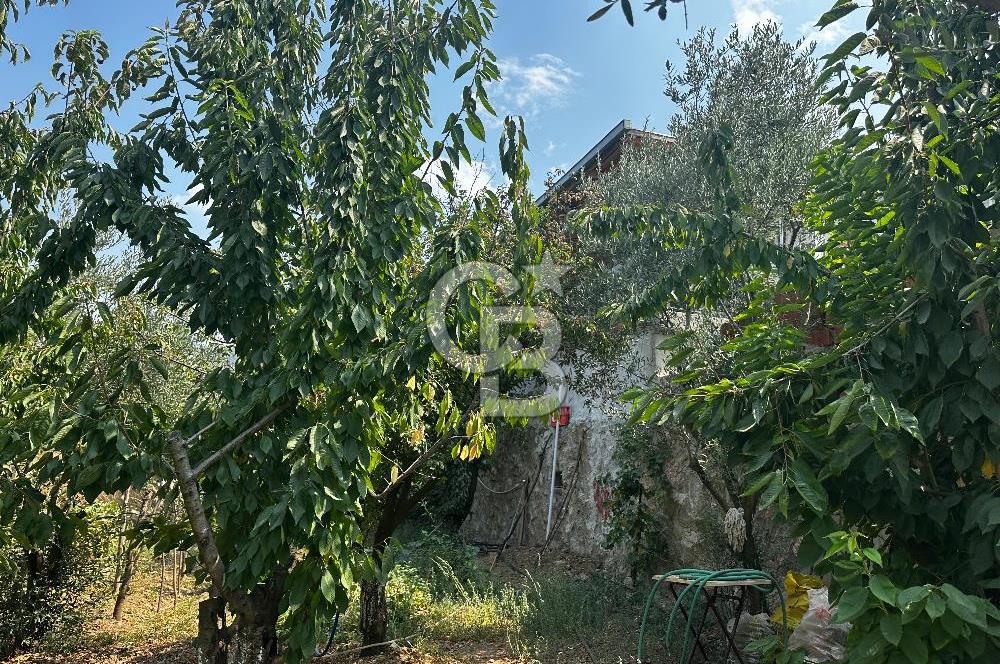 Kemalpaşa Sinancılar’da Müstakil Evli Huzur Bahçesi!