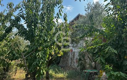 Kemalpaşa Sinancılar’da Müstakil Evli Huzur Bahçesi!