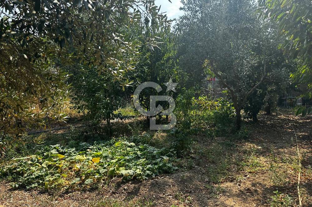 Kemalpaşa Sinancılar’da Müstakil Evli Huzur Bahçesi!