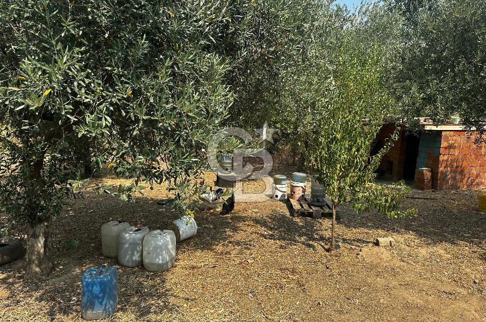 Kemalpaşa Sinancılar’da Müstakil Evli Huzur Bahçesi!