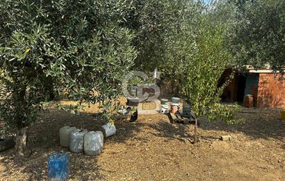 Kemalpaşa Sinancılar’da Müstakil Evli Huzur Bahçesi!