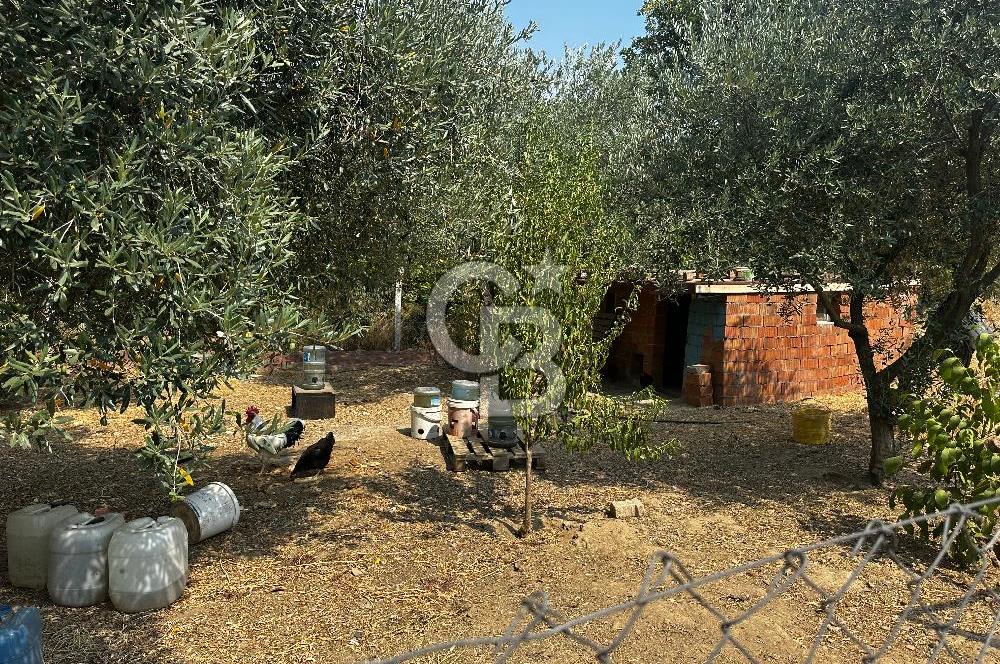Kemalpaşa Sinancılar’da Müstakil Evli Huzur Bahçesi!