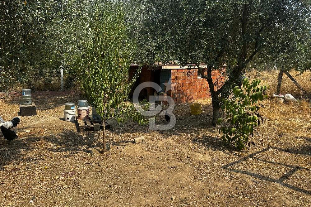 Kemalpaşa Sinancılar’da Müstakil Evli Huzur Bahçesi!