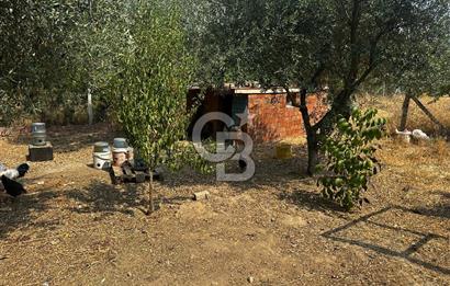 Kemalpaşa Sinancılar’da Müstakil Evli Huzur Bahçesi!