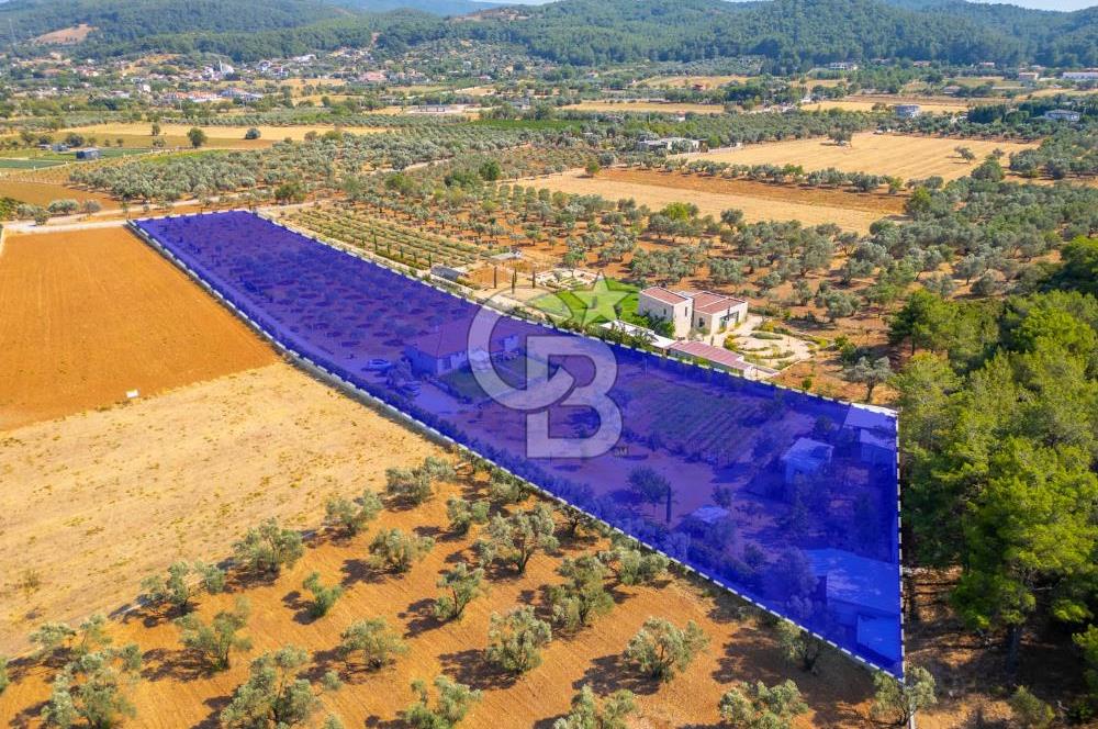 Urla Uzunkuyu'da Satılık 9036 m² içinde Tek Katlı Taş Çiftlik Evi 