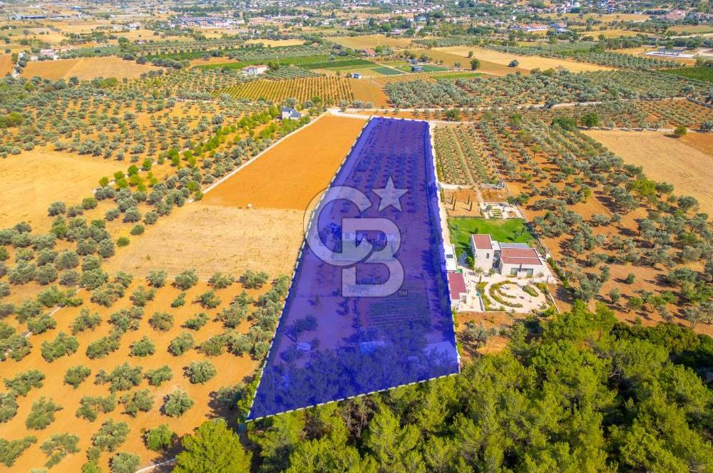 Urla Uzunkuyu'da Satılık 9036 m² içinde Tek Katlı Taş Çiftlik Evi 
