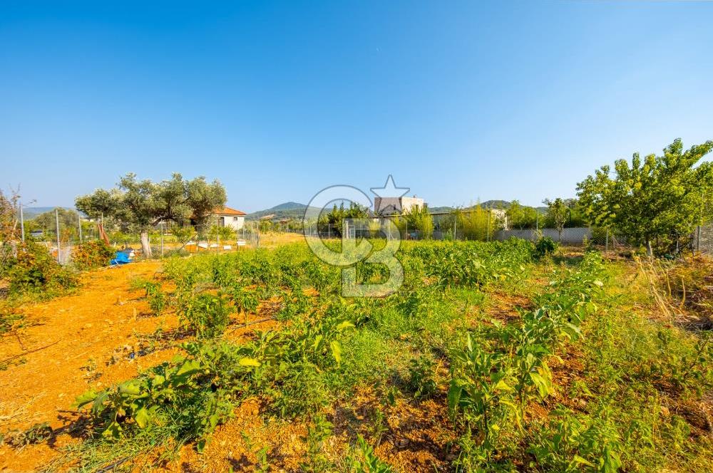 Urla Uzunkuyu'da Satılık 9036 m² içinde Tek Katlı Taş Çiftlik Evi 