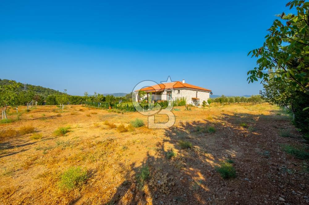 Urla Uzunkuyu'da Satılık 9036 m² içinde Tek Katlı Taş Çiftlik Evi 
