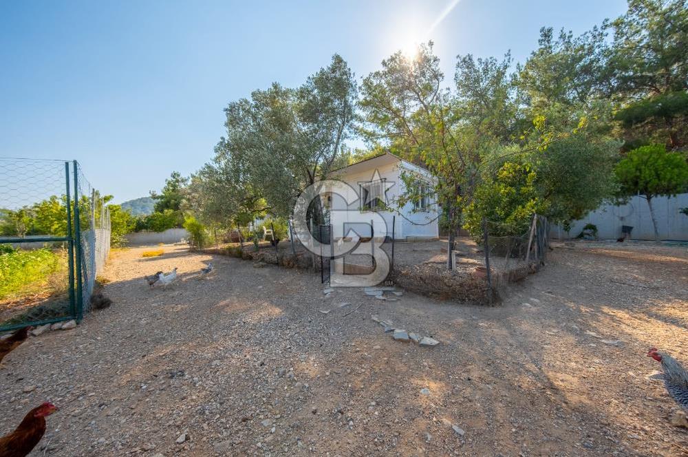 Urla Uzunkuyu'da Satılık 9036 m² içinde Tek Katlı Taş Çiftlik Evi 