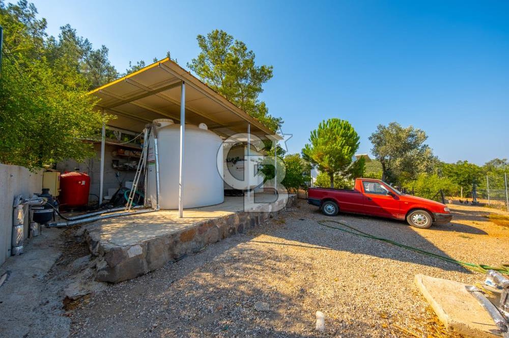 Urla Uzunkuyu'da Satılık 9036 m² içinde Tek Katlı Taş Çiftlik Evi 