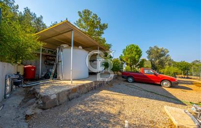Urla Uzunkuyu'da Satılık 9036 m² içinde Tek Katlı Taş Çiftlik Evi 
