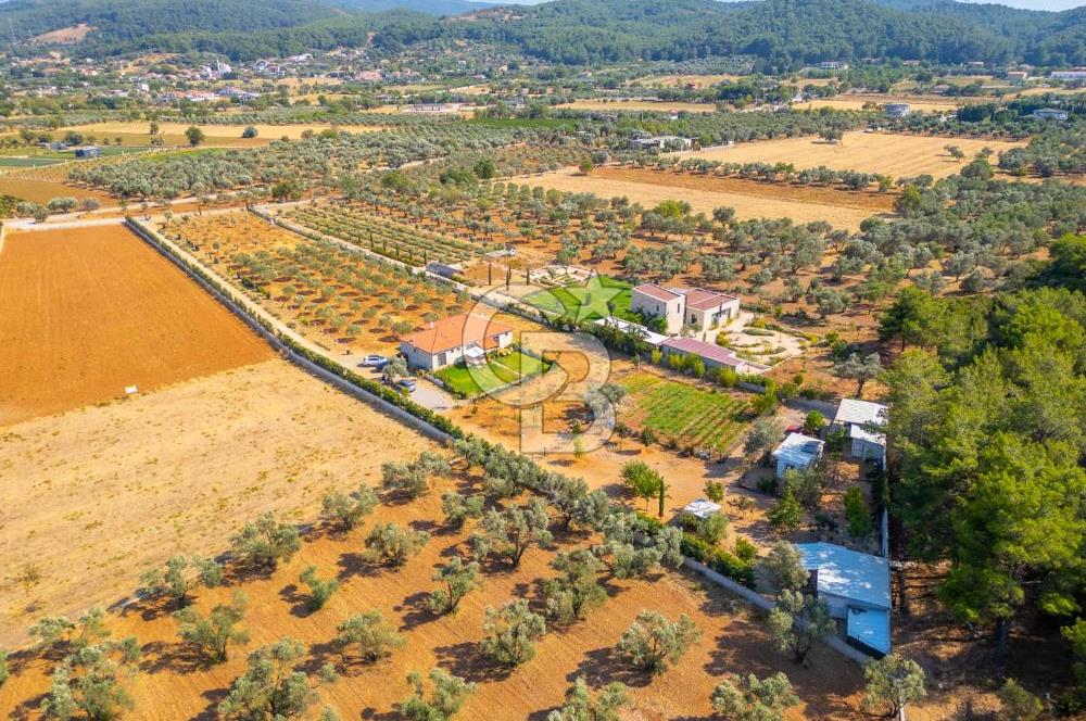 Urla Uzunkuyu'da Satılık 9036 m² içinde Tek Katlı Taş Çiftlik Evi 