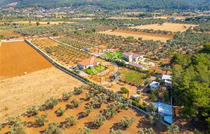 Urla Uzunkuyu'da Satılık 9036 m² içinde Tek Katlı Taş Çiftlik Evi 