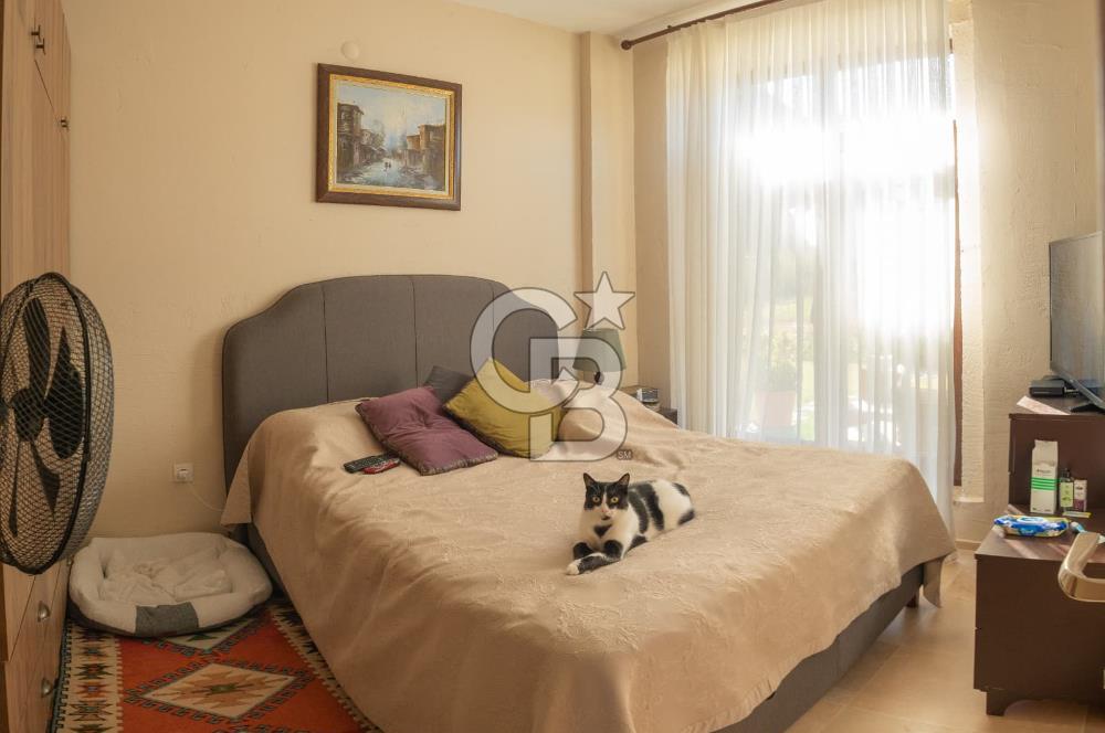Urla Uzunkuyu'da Satılık 9036 m² içinde Tek Katlı Taş Çiftlik Evi 